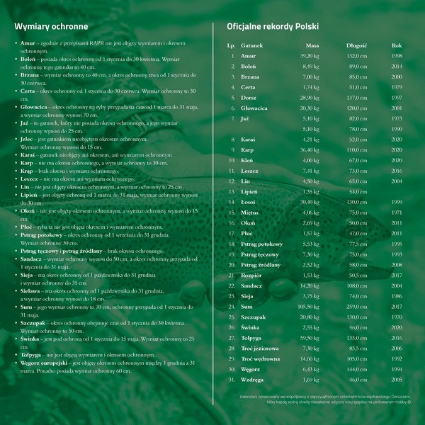 Kalendarz albumowy duży KAD-2 Wędkarski Avanti